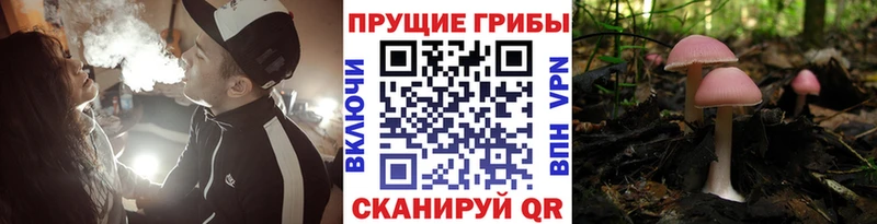 цены наркотик  Омск  Галлюциногенные грибы ЛСД 